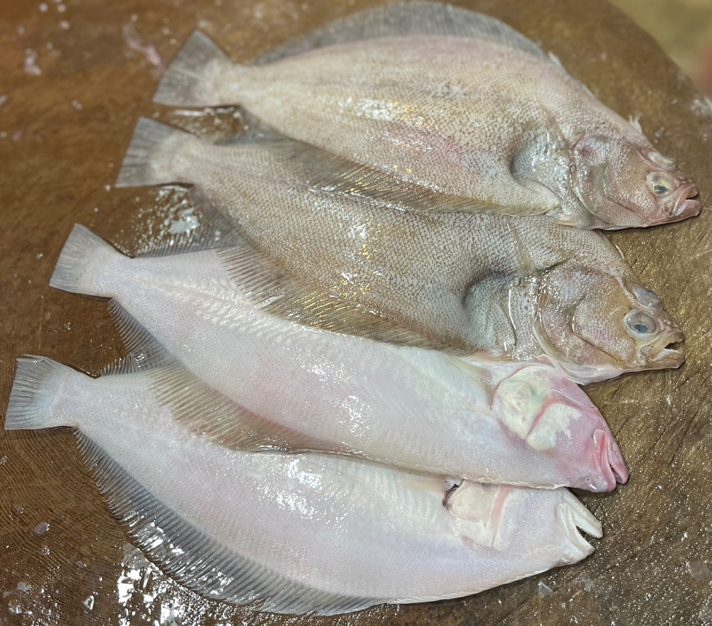 참가자미(생)