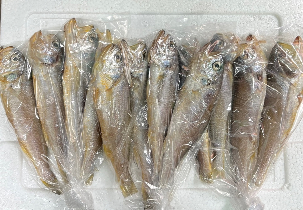 참조기(생)
